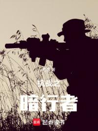 抗战之暗行者